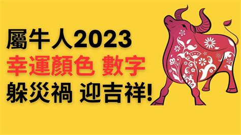 2023屬牛|牛運勢 2023 年預測：平靜、幸福和成長